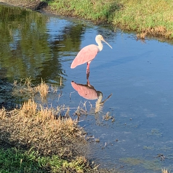 Meet your Posher, Cyndie - Picture 1 of 1